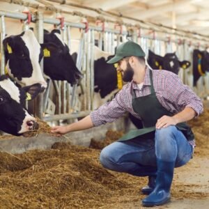 Desparasitación y Vacunación de Ganado